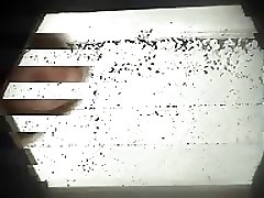 6 movies - Unsuspecting youthful women filmed urinating in a public setting Part 1