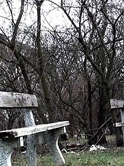 15 pictures - Blonde Sprinkler