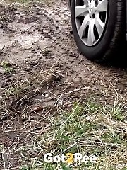 15 pictures - Looking Down