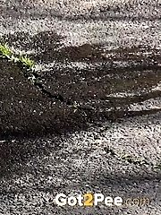 15 pictures - Public Puddle