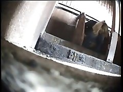 6 movies - Ladies captured peeing in exposed cubicles of a communal toilet Part 2