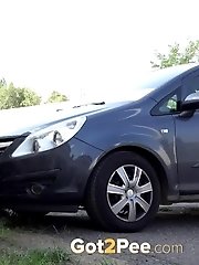 15 pictures - By The Cars