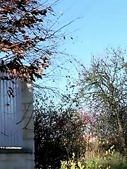 15 pictures - Sunshine Blonde