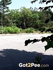 15 pictures - Shadowed Puddle