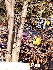 15 pictures - Blonde in Boots