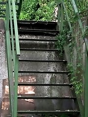 15 pictures - Metal Steps