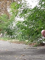 15 pictures - Wet Patch