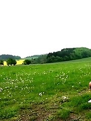 15 pictures - Lexi on Grass