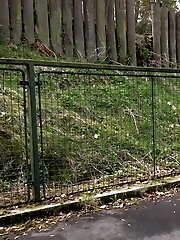 15 pictures - Pee Grand Slam