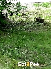 15 pictures - Passing Traffic