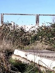 15 pictures - Bright White