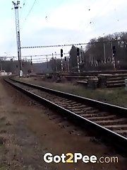 15 pictures - Train Line