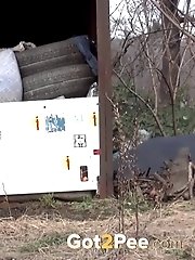 15 pictures - Train Line