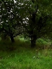 15 pictures - A Pond