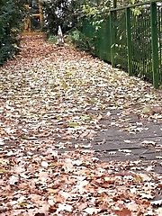 15 pictures - Closeup Wet Pussy