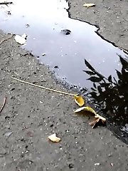 15 pictures - Wet Patch