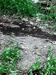 15 pictures - Beautiful dark haired teen pees on the soil