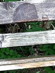 15 pictures - Stunning brunette cant stop peeing on a bench