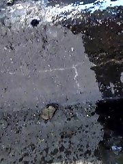 15 pictures - Watch piss trickling down some steps in this scene