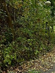 15 pictures - Pretty dark haired girl pisses while on a jog