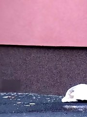 15 pictures - Neighbourhood