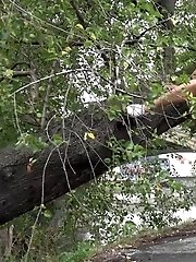 15 pictures - Splash By The River