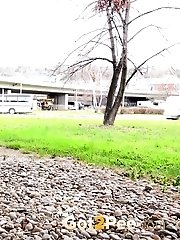 15 pictures - Dotted Stockings