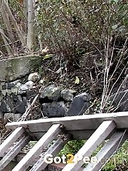 15 pictures - Train Line