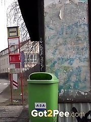 15 pictures - Sexy brunette babe pisses behind a bus stop