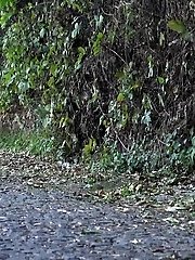 15 pictures - Pretty teen sprays her long stream of piss