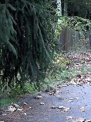 15 pictures - Dark haired babe pisses on a path