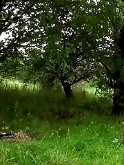 15 pictures - A Pond