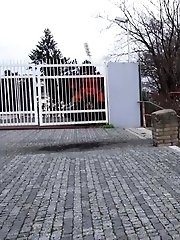 15 pictures - Swamped Steps