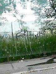 15 pictures - Reflection