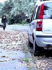 15 pictures - Camouflage