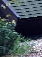 15 pictures - Camouflage