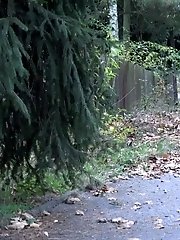 15 pictures - Camouflage