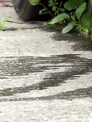 15 pictures - Dark haired girl pees next to a busy road outside