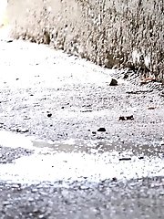 15 pictures - Dark haired babe pisses on the ground