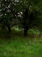 15 pictures - A Pond