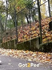 15 pictures - Cannabis Butterflies