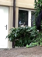 15 pictures - Neighbours Garden