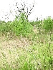 15 pictures - Little Orange Shorts