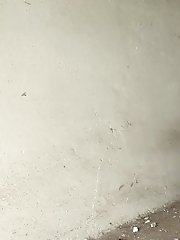 15 pictures - Little Orange Shorts