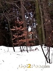 15 pictures - Snowy Stream