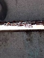 15 pictures - Brunette girl pisses down some concrete steps