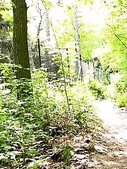 15 pictures - Peach Trousers