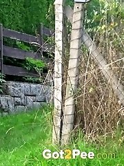 15 pictures - Woof Woof