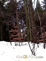 15 pictures - Snowy Stream