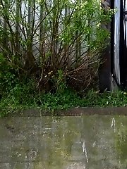 15 pictures - On a Ledge